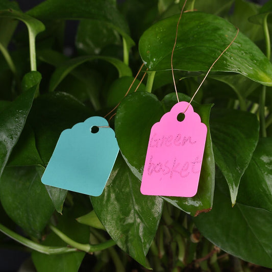 100pcs Waterproof Strip Line Gardening Labels