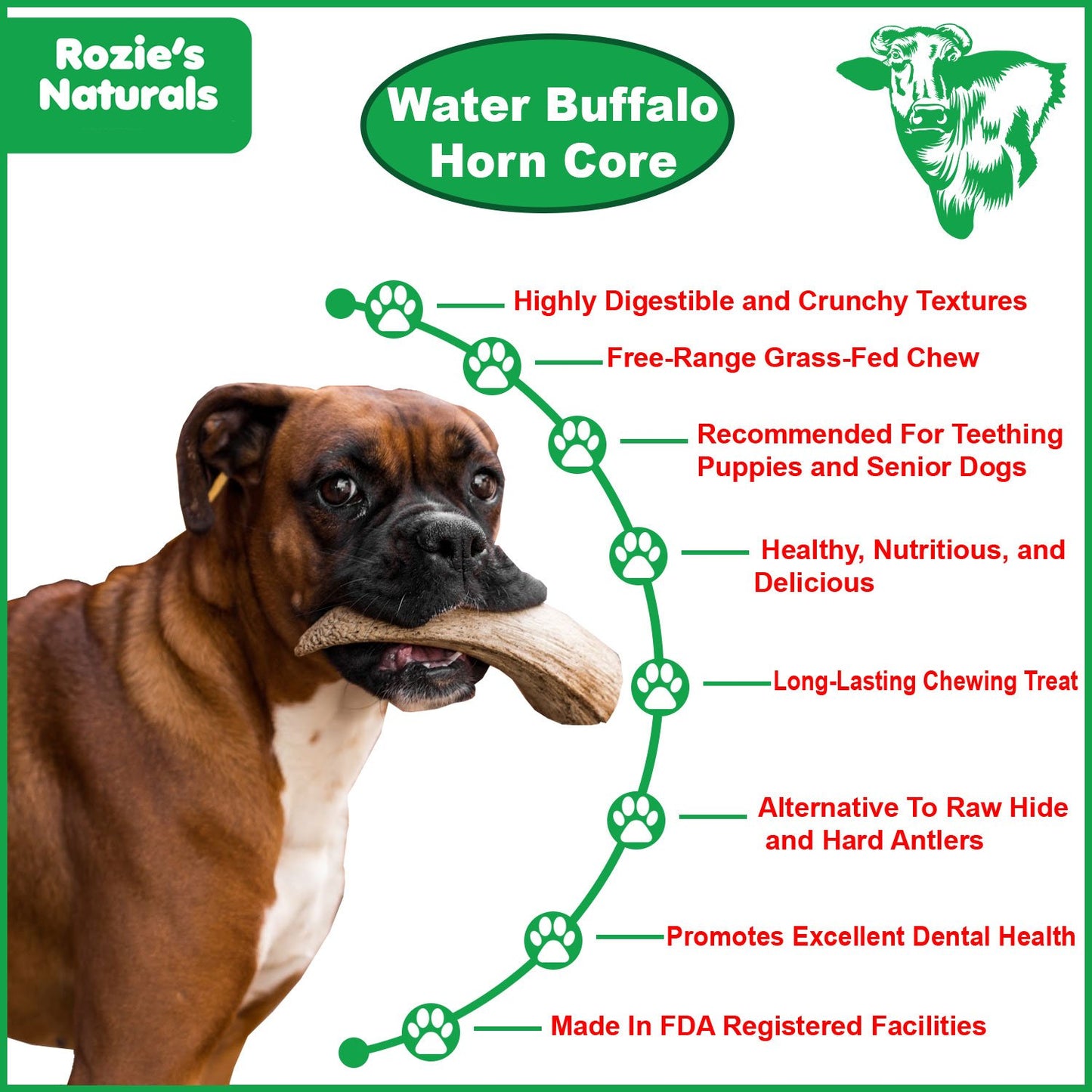 Water Buffalo Horn Core Dog Chews-2 Count-10 oz | Family Pet | Kitchen + Metal
