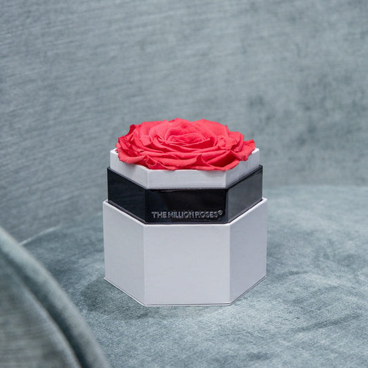 ONE IN A MILLION™ WHITE HEXAGON BOX | CORAL ROSE