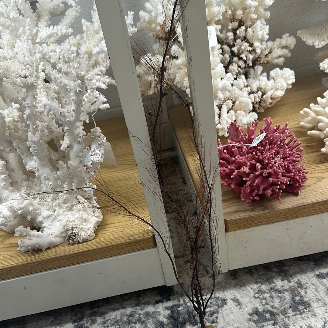 25-30" Black Sea Fan Whip