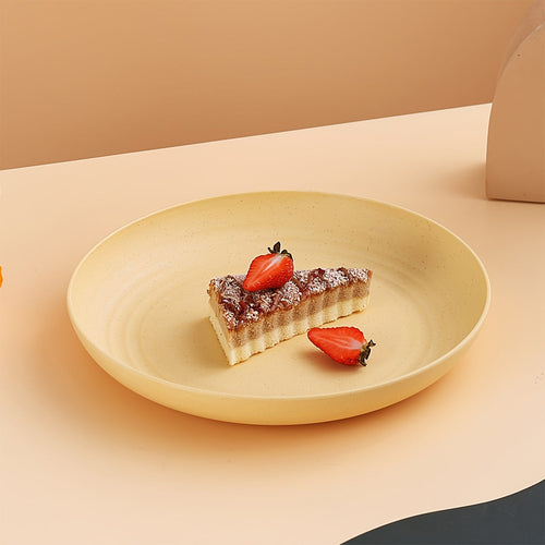 Colorful 9Inch Deep Plates Set of 2 Durable PP