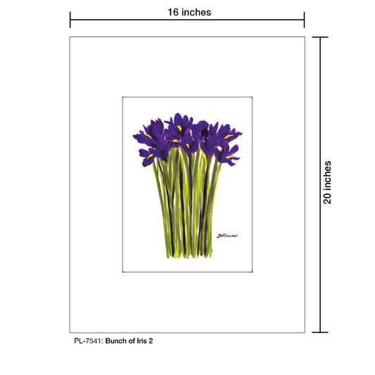 Bunch of Iris 2, Print (#7541A)