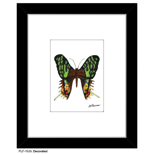 Decorated, Print (#7639B)