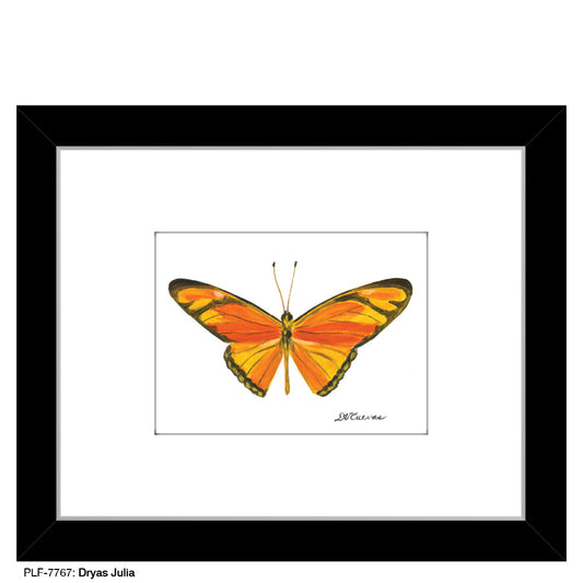 Dryas Julia, Print (#7767B)