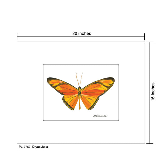 Dryas Julia, Print (#7767B)