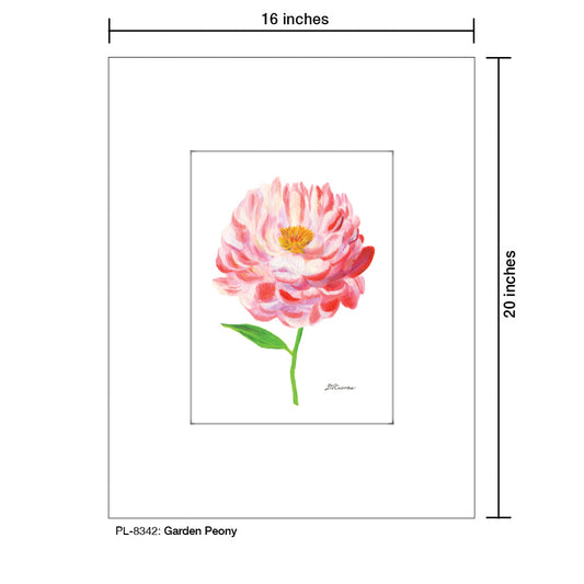 Garden Peony, Print (#8342B)
