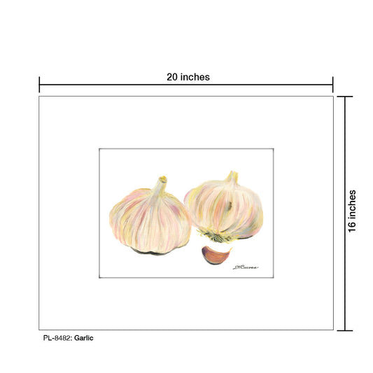 Garlic, Print (#8482A)