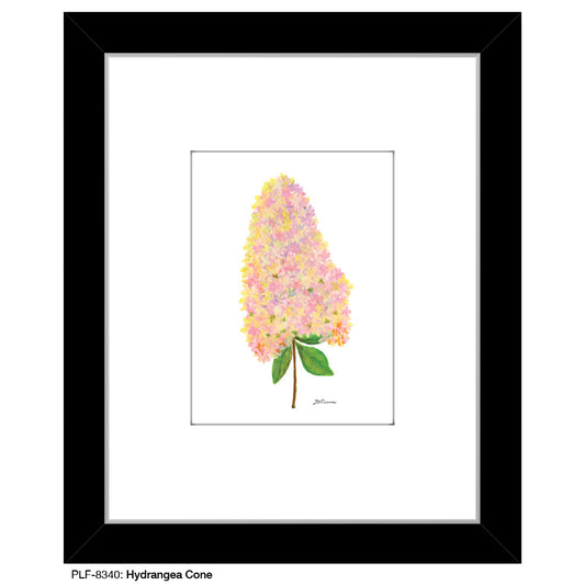 Hydrangea Cone, Print (#8340A)