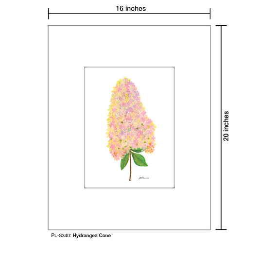 Hydrangea Cone, Print (#8340A)