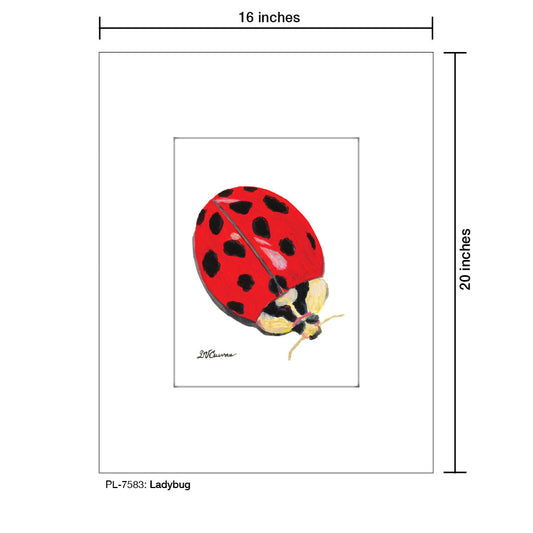 Ladybug, Print (#7583A)
