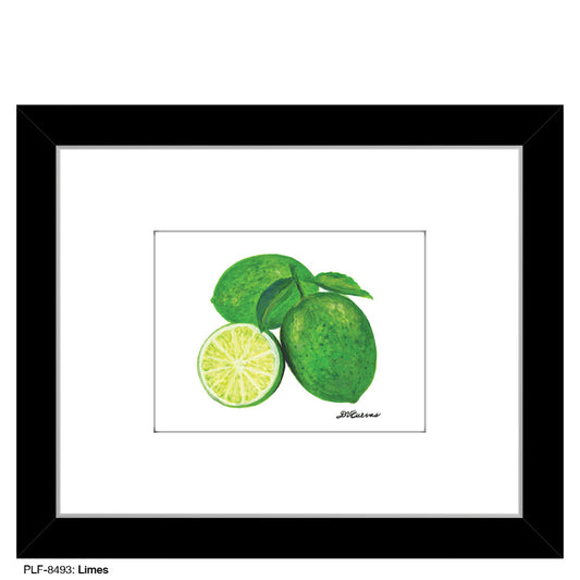Limes, Print (#8493A)