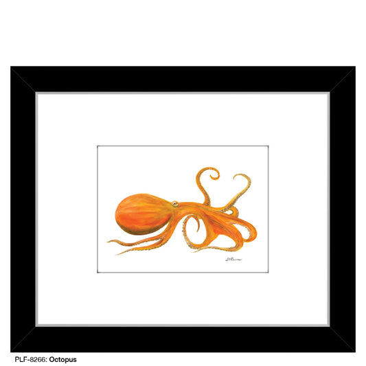 Octopus, Print (#8266B)