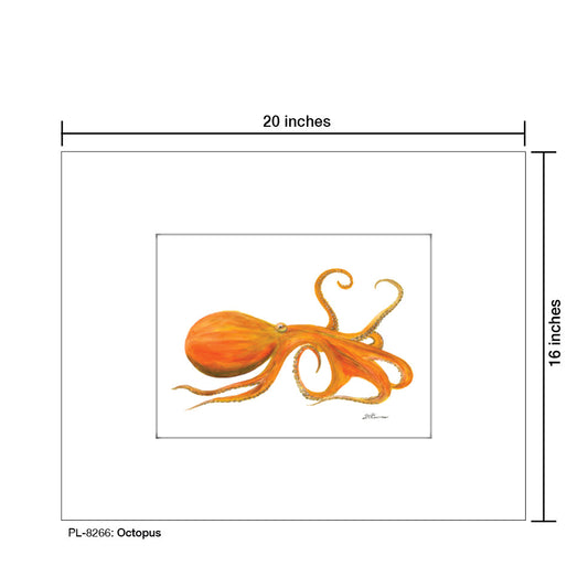 Octopus, Print (#8266B)