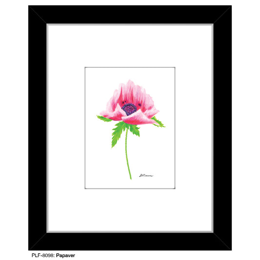 Papaver, Print (#8098C)