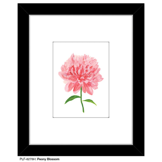 Peony Blossom, Print (#8278H)
