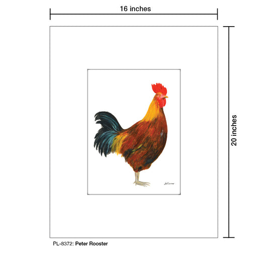 Peter Rooster, Print (#8372C)