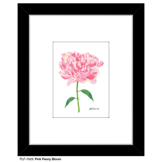 Pink Peony Bloom, Print (#7829A)