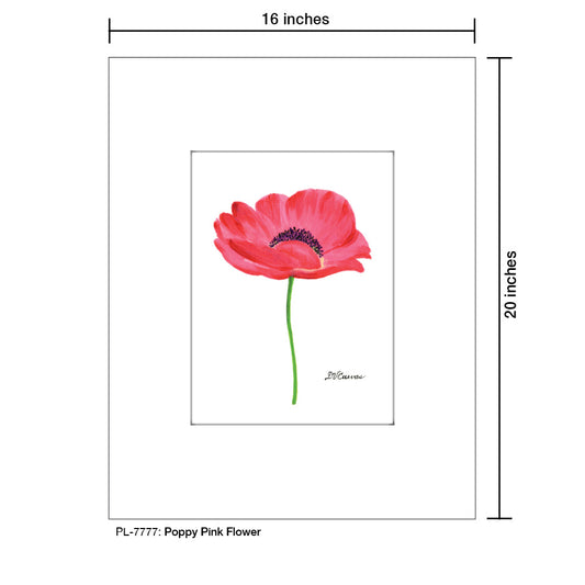 Poppy Pink Flower, Print (#7777B)