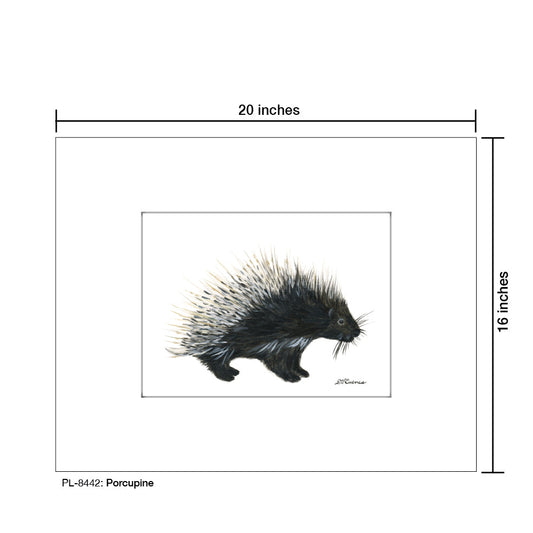 Porcupine, Print (#8442B)