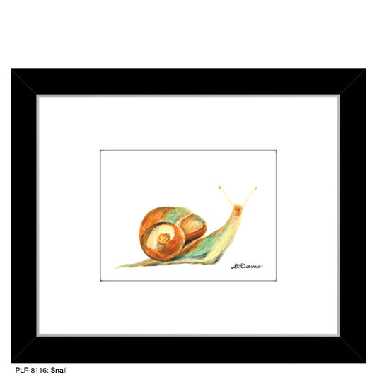 Snail, Print (#8116B)