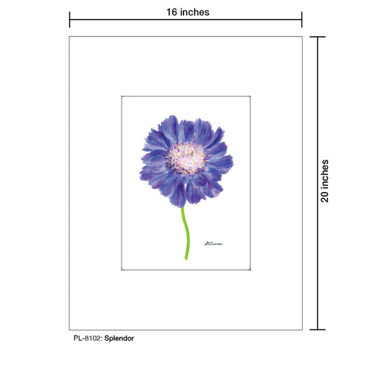 Splendor, Print (#8102B)