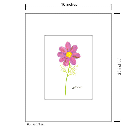 Trent, Print (#7757A)