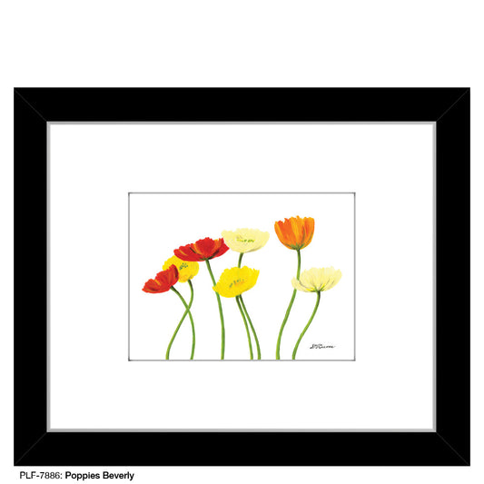 Poppies Beverly, Print (#7886A)
