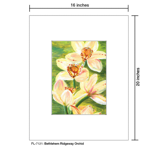 Bethlehem Ridgeway Orchid, Print (#7121C)