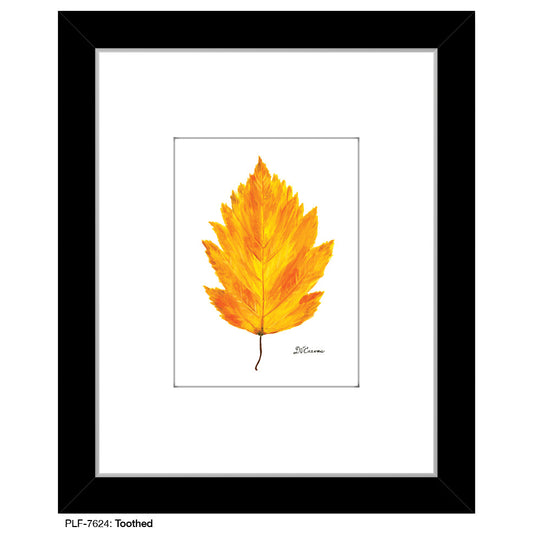 Toothed, Print (#7624A)