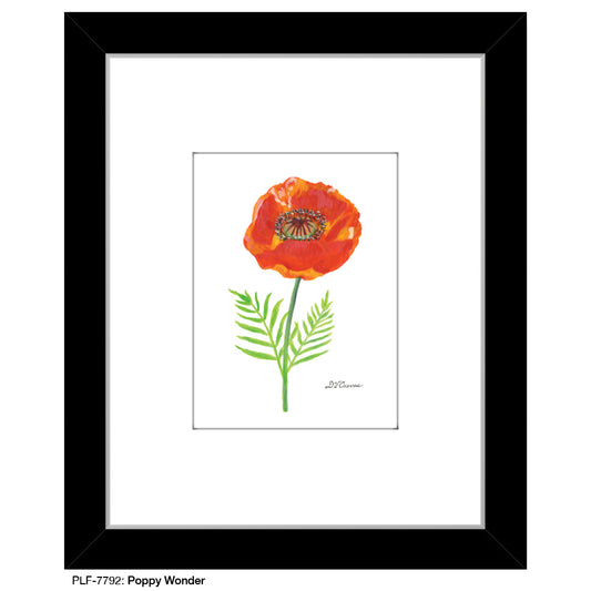 Poppy Wonder, Print (#7792A)