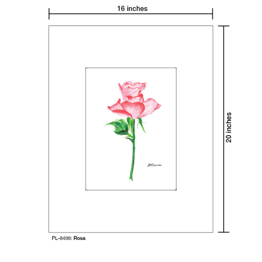 Rosa, Print (#8498B)