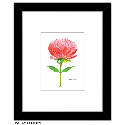 Single Peony, Print (#7830A)