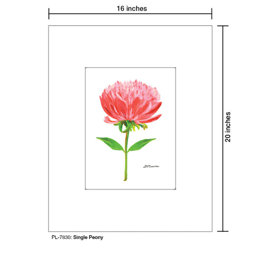 Single Peony, Print (#7830A)