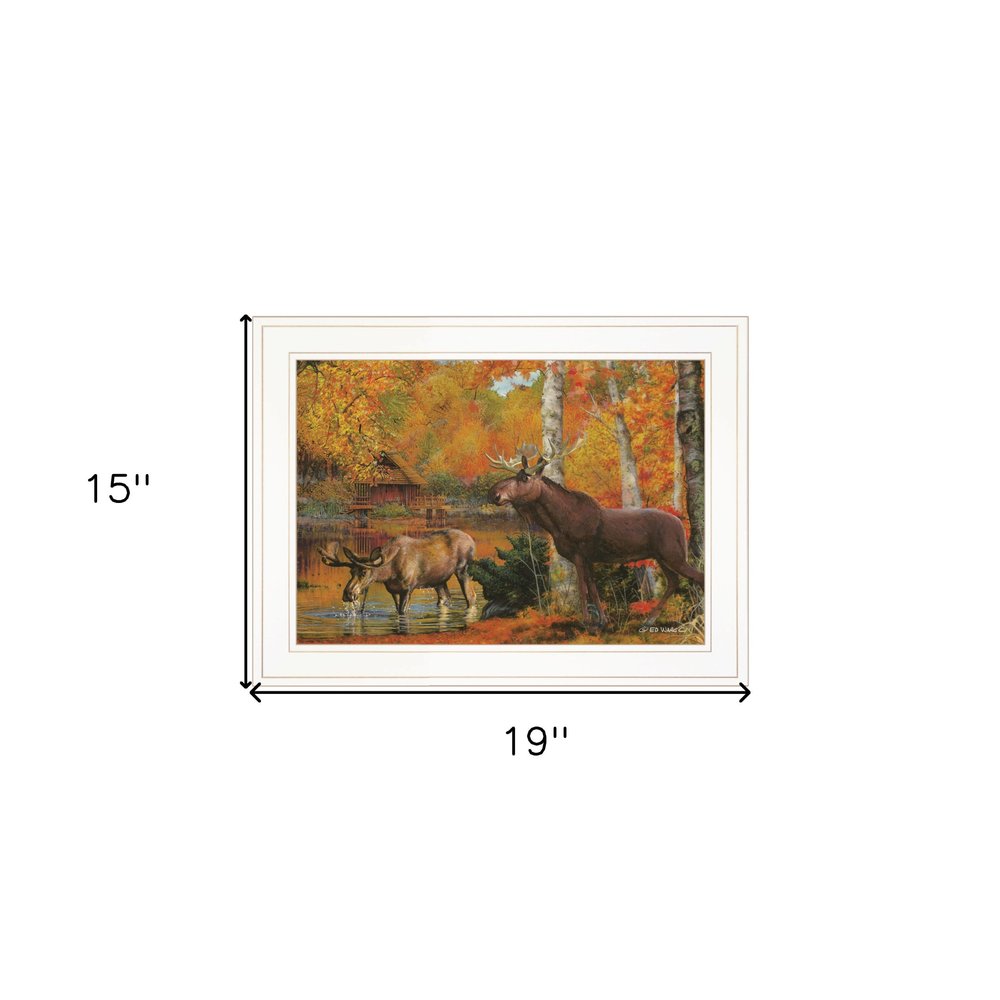 Framed artwork of moose in a forest with autumn colors, shown with dimensions.