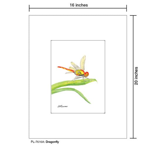 Dragonfly, Print (#7616A)