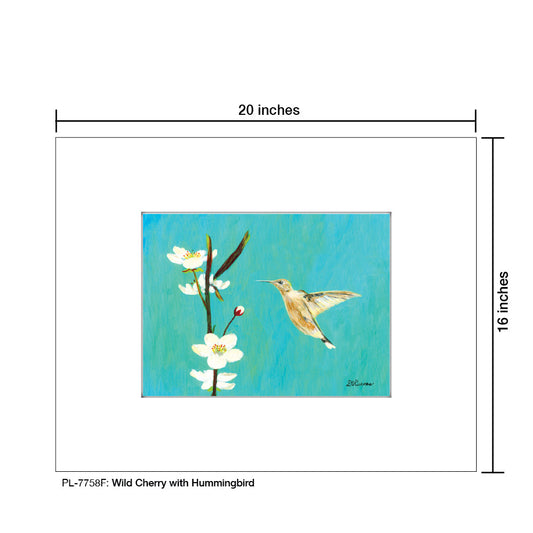 Wild Cherry with Hummingbird, Print (#7758F)
