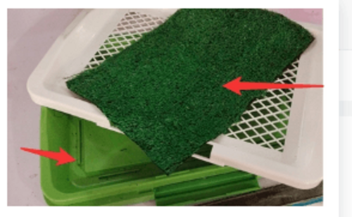 Ultimate Clean Paws Pet Toilet: The Hassle-Free Solution For A