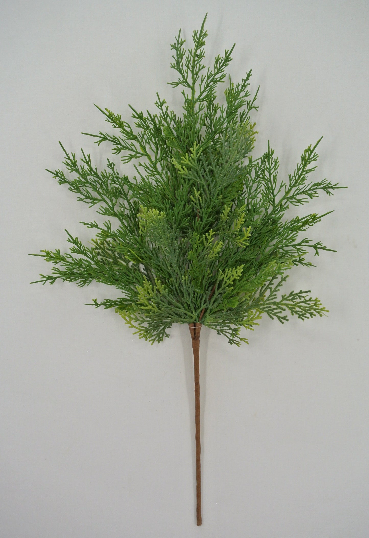 CYPRESS SPRAY 24.5 IN