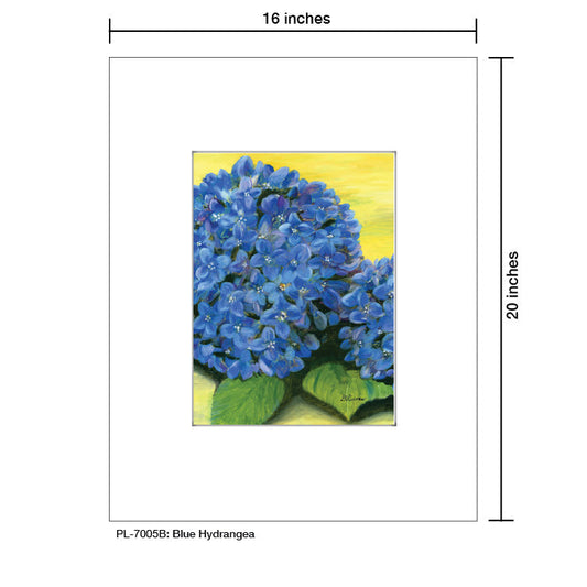 Blue Hydrangea, Print (#7005B)