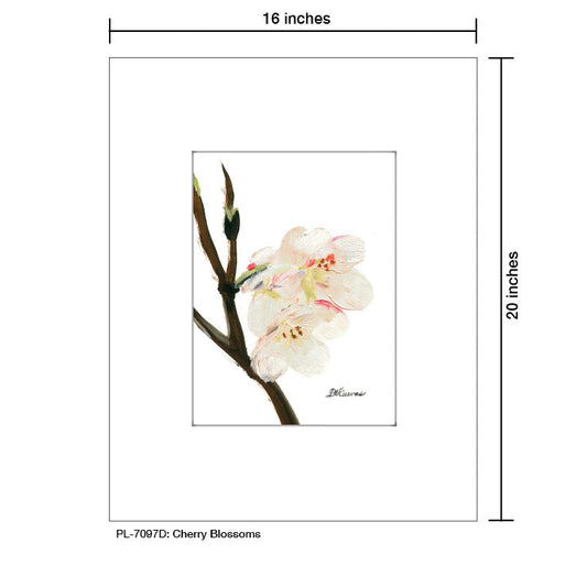 Cherry Blossoms, Print (#7097D)