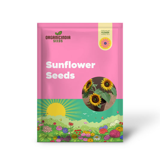 Brown Sunflower Seeds for Planting, Blooming Beauty