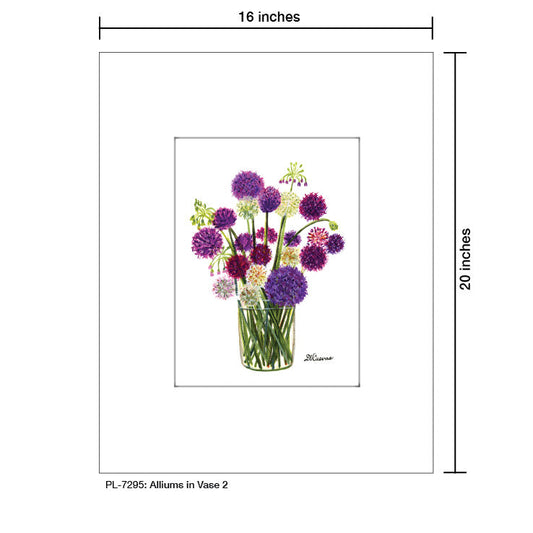 Alliums in Vase 2, Print (#7295A)