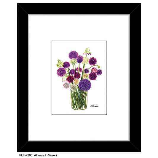 Alliums in Vase 2, Print (#7295A)