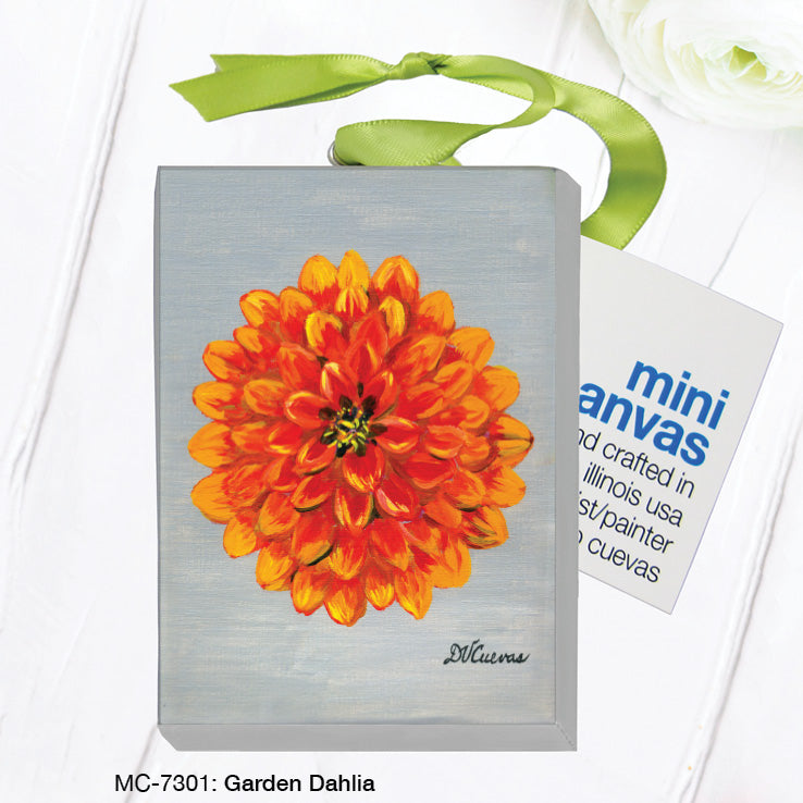 Garden Dahlia, Mini Canvas (MC-7301G)