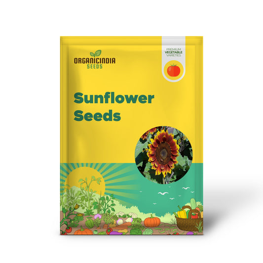 Sunflower Seeds - Ruby Passion – Elevate Your Gardening with Bold, Vibrant Blooms!
