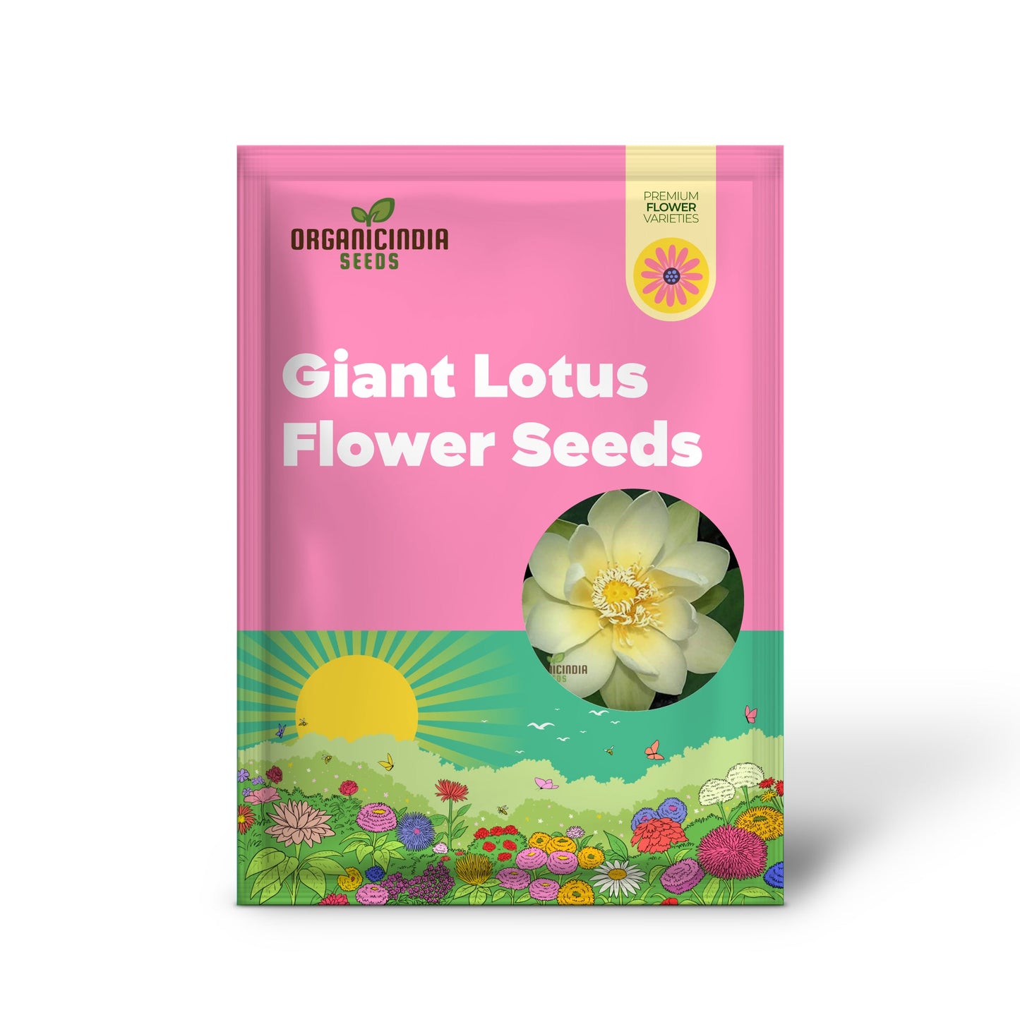 Giant Sunburst Lotus Flower Seeds for Planting, High Quality Seeds for Stunning Garden Blooms