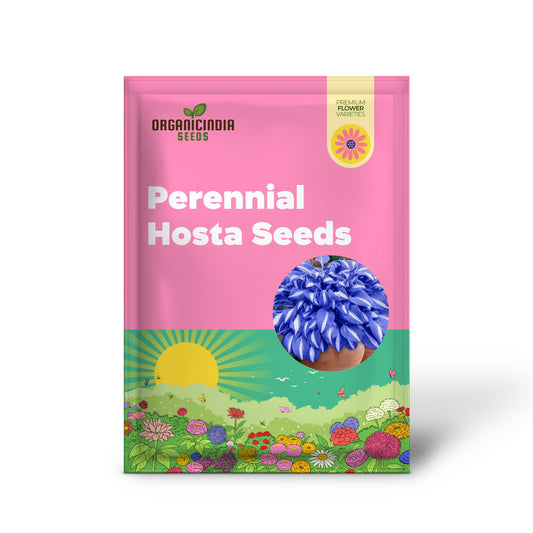 Blue Hosta Plants, Perennial Hosta Seeds for Outdoor Garden Shade, Easy to Grow And Plant