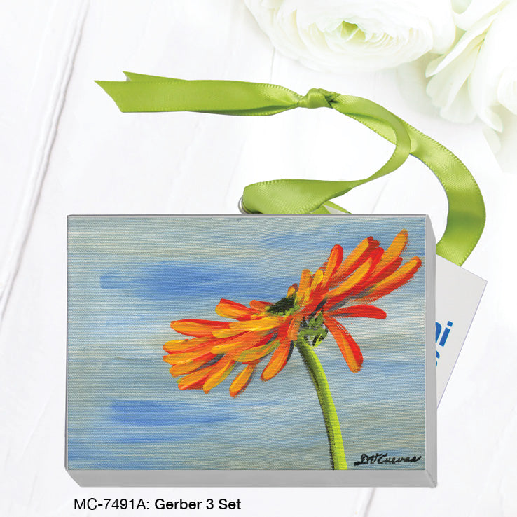 Gerber 3 Set, Mini Canvas (MC-7491A)