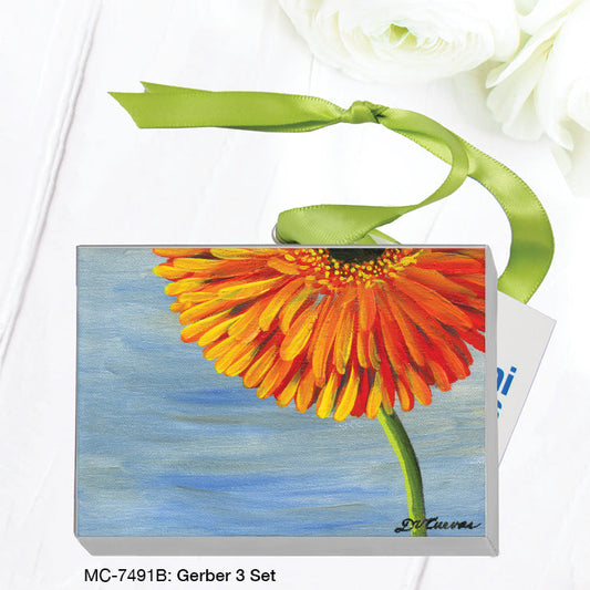 Gerber 3 Set, Mini Canvas (MC-7491B)