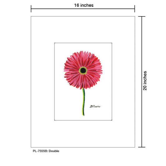 Double, Print (#7555B)